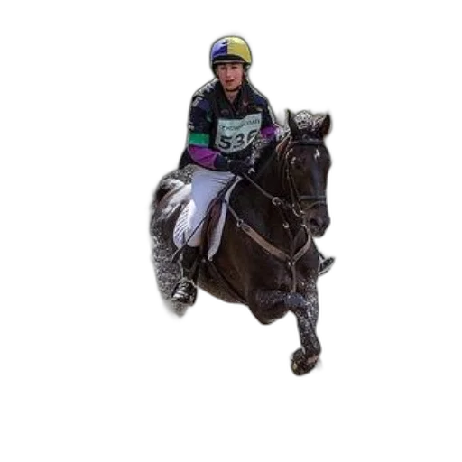 animal, staff, hat, jacket, photorealistic, rider, horseback, navigates transparent PNG cut-out