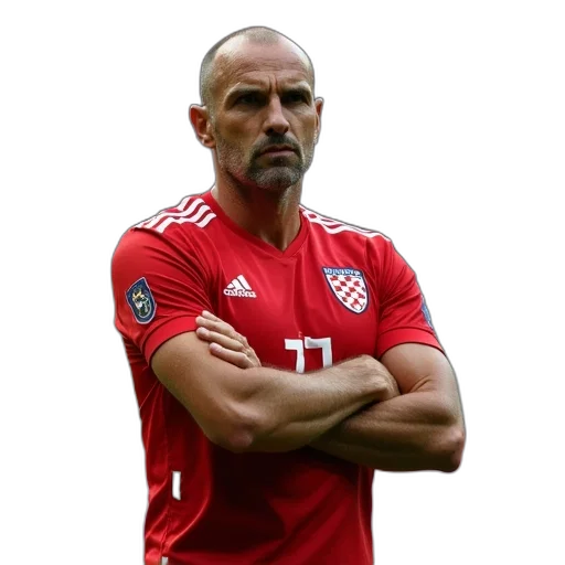 head, coach, john, shea, during, croatia, spain, match transparent PNG cut-out