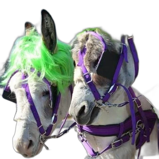 animal, mask, staff, dragon, cyberpunk, concept art, photorealistic, vaporwave transparent PNG cut-out