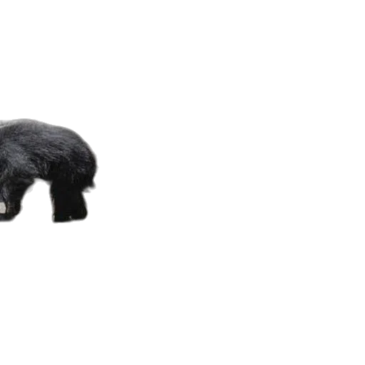animal, hair, creature, hat, 3d render, concept art, dark, two transparent PNG cut-out