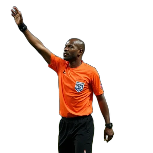 staff, referee, mike, brown transparent PNG cut-out
