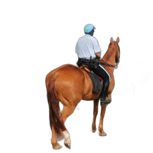staff, animal, hat, jacket, photorealistic, concept art, 3d render, oil painting transparent PNG cut-out