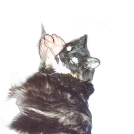 animal, creature, staff, weapon, photorealistic, vaporwave, concept art, watercolor transparent PNG cut-out
