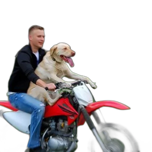 animal, photorealistic, man, his, dog, ride, red, dirt transparent PNG cut-out