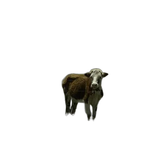animal, creature, staff, hair, 3d render, pixel art, concept art, photorealistic transparent PNG cut-out