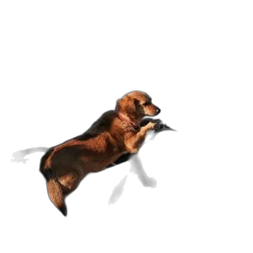 animal, creature, staff, dragon, photorealistic, pixel art, concept art, 3d render transparent PNG cut-out