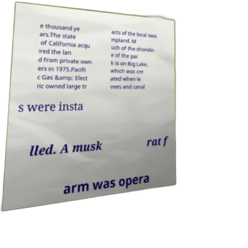 mask, dress, sword, bottle, image, contains, text, discussing transparent PNG cut-out