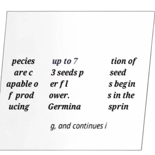 crown, jewelry, tree, food, outer space, forest, text, box transparent PNG cut-out