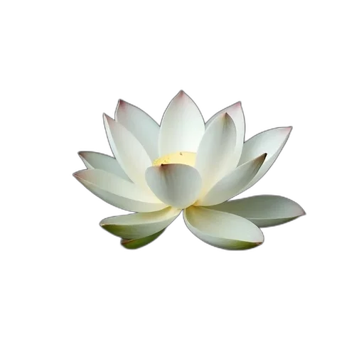 flower, crown, jewelry, staff, 3d render, photorealistic, pixel art, framed transparent PNG cut-out