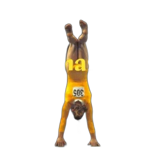 animal, 3d render, cover, safari, magazine, features, gymnastics, gymnast transparent PNG cut-out