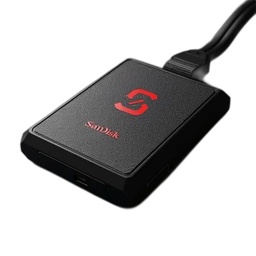 staff, weapon, car, animal, 3d render, black, sandisk, external transparent PNG cut-out