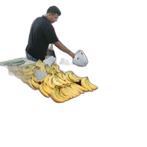 food, shoes, weapon, staff, 3d render, photorealistic, concept art, oil painting transparent PNG cut-out