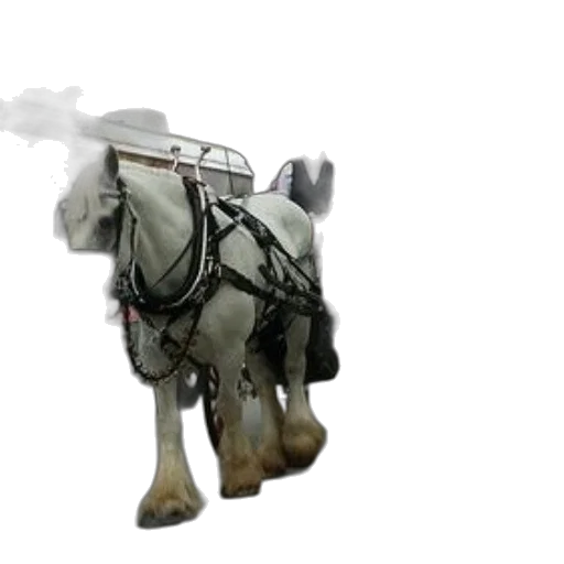 animal, weapon, robot, staff, concept art, 3d render, photorealistic, fantasy art transparent PNG cut-out