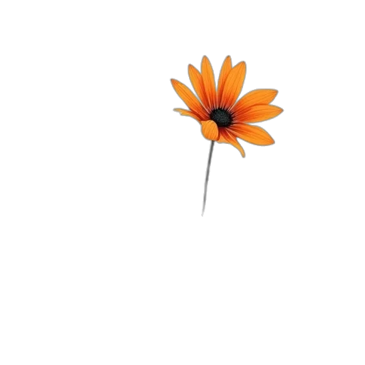 flower, crown, staff, jewelry transparent PNG cut-out