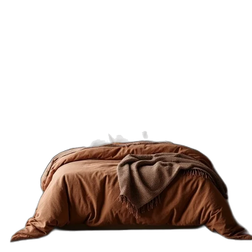 furniture, crown, animal, hat transparent PNG cut-out