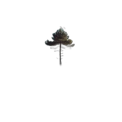 tree, umbrella, hat, crown, 3d render, pixel art, concept art, photorealistic transparent PNG cut-out