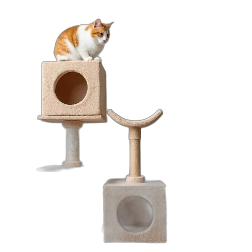 furniture, 3d render, concept art, cat transparent PNG cut-out