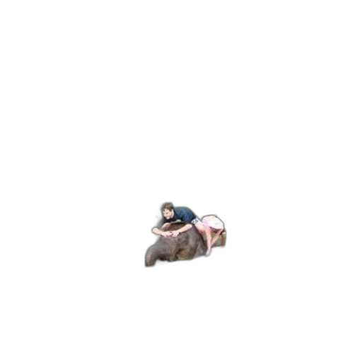 hat, animal, creature, shoes transparent PNG cut-out
