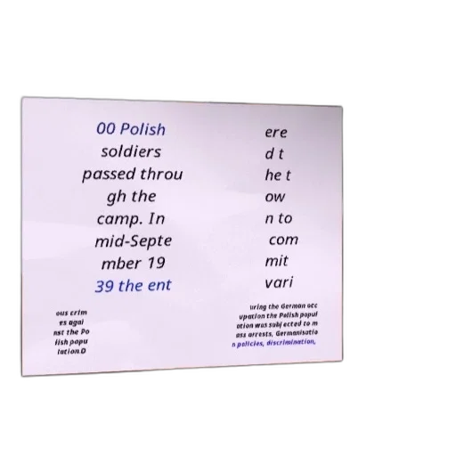 dog, stands, front, sign, reads, polish, soldiers, passed transparent PNG cut-out