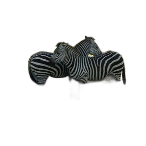 jewelry, shoes, mask, hat, 3d render, photorealistic, two, zebras transparent PNG cut-out