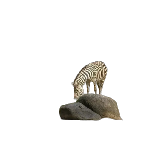 animal, hat, jewelry, furniture, 3d render, concept art, photorealistic, vaporwave transparent PNG cut-out