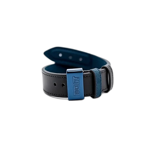 jewelry, black, leather, watch, strap, blue, buckle, displayed transparent PNG cut-out
