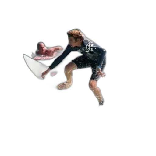shoes, creature, jacket, animal transparent PNG cut-out