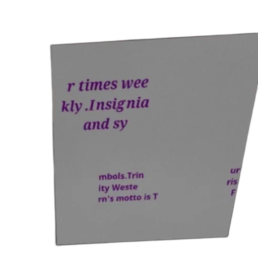 umbrella, vaporwave, poster, text, about, insignia, symbols, mentioning transparent PNG cut-out