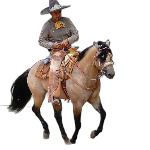 hat, animal, staff, jacket, concept art, photorealistic, 3d render, fantasy art transparent PNG cut-out