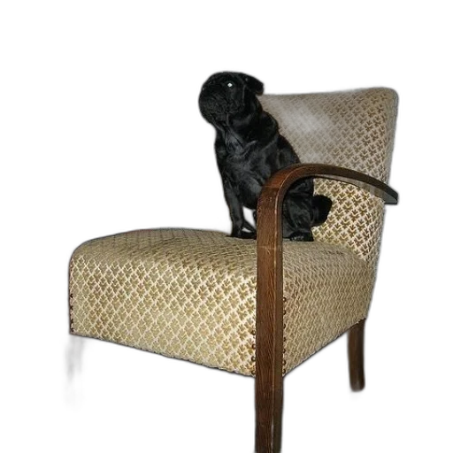 furniture, staff, animal, 3d render, black, dog, sits, patterned transparent PNG cut-out