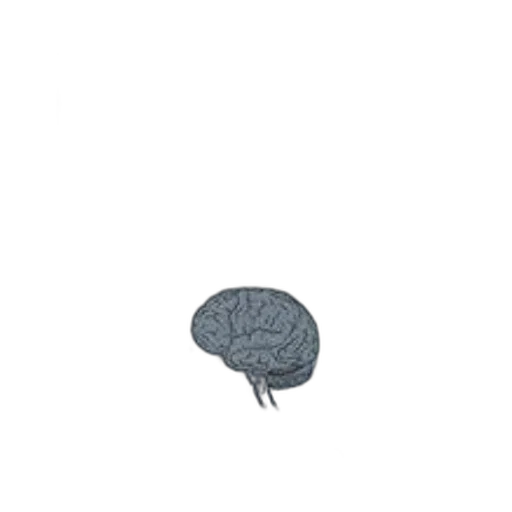 hat, crown, umbrella, hair, pixel art, photorealistic, 3d render, concept art transparent PNG cut-out
