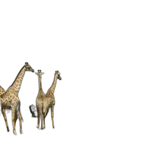 animal, creature, furniture, 3d render, concept art, pixel art, photorealistic, earth tones transparent PNG cut-out