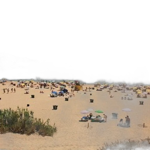 photorealistic, 3d render, concept art, beach, fog, outer space, earth tones, bustling transparent PNG cut-out