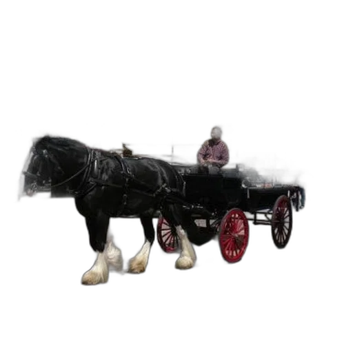 animal, car, furniture, shoes, 3d render, concept art, photorealistic, horse-drawn transparent PNG cut-out