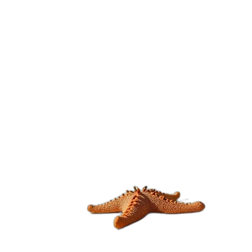 shoes, hat, dragon, animal, 3d render, photorealistic, pixel art, concept art transparent PNG cut-out