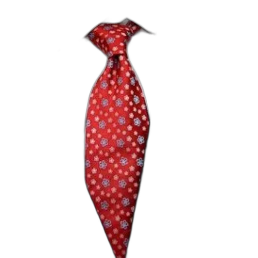 umbrella, dress, staff, hat, red, person, suit, tie transparent PNG cut-out