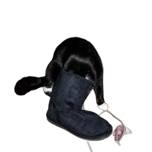 hat, shoes, hair, staff, black, cat, playing, toy transparent PNG cut-out