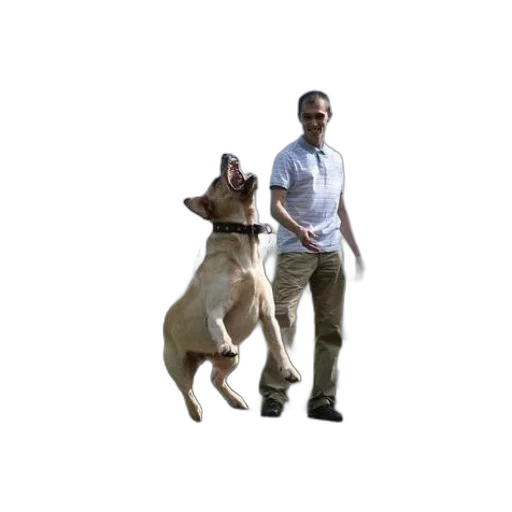 animal, staff, creature, jacket, 3d render, photorealistic, concept art, pixel art transparent PNG cut-out