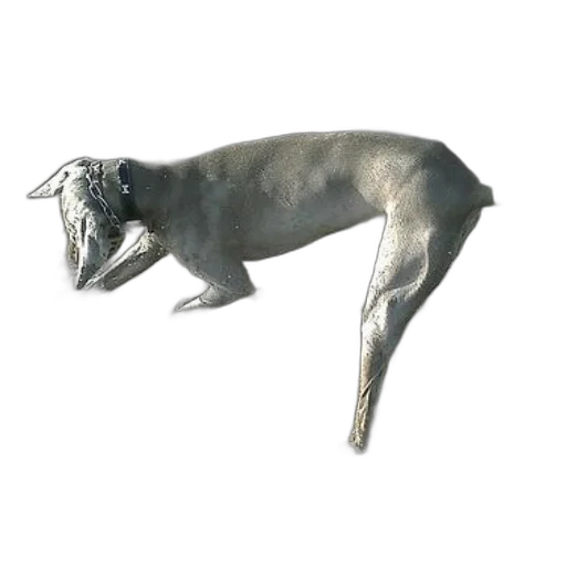 animal, creature, dragon, staff, 3d render, photorealistic, concept art, watercolor transparent PNG cut-out