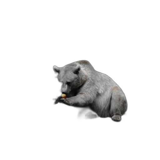 animal, food, creature, dragon, photorealistic, 3d render, concept art, grizzly transparent PNG cut-out