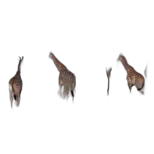 hair, animal, creature, dragon, concept art, photorealistic, 3d render, pixel art transparent PNG cut-out