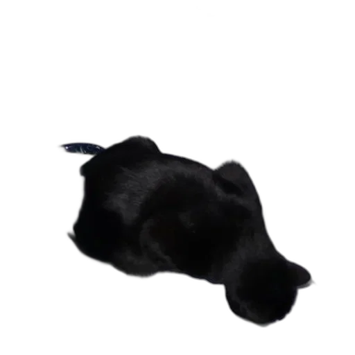 animal, hat, staff, creature, photorealistic, 3d render, concept art, pixel art transparent PNG cut-out