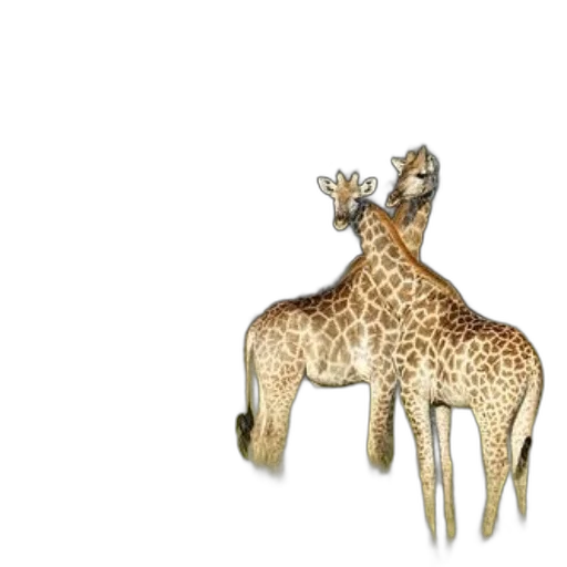 animal, jewelry, crown, creature, 3d render, concept art, photorealistic, pixel art transparent PNG cut-out