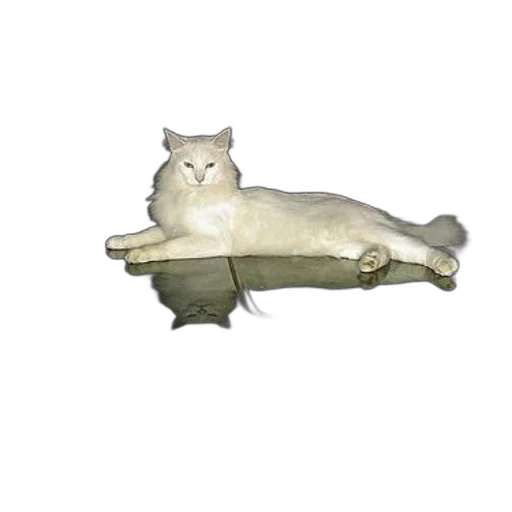 animal, furniture, creature, staff, 3d render, photorealistic, pixel art, concept art transparent PNG cut-out
