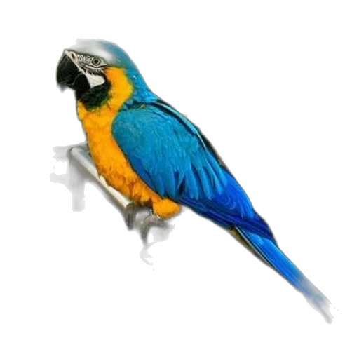 animal, staff, jewelry, crown, photorealistic, 3d render, concept art, pixel art transparent PNG cut-out