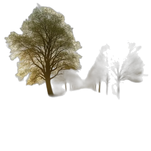 tree, crown, mask, hat transparent PNG cut-out