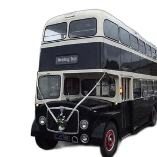 vintage, double-decker, bus, decorated, wedding, sign, front transparent PNG cut-out