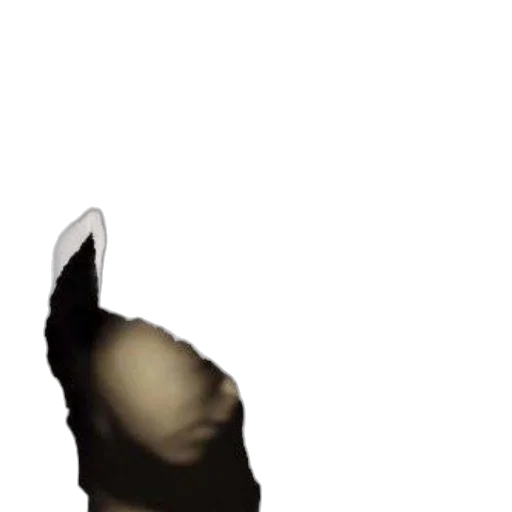 face, mask, animal, hair, photorealistic, 3d render, concept art, pixel art transparent PNG cut-out
