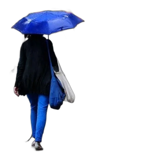 umbrella, jacket, dress, hat transparent PNG cut-out