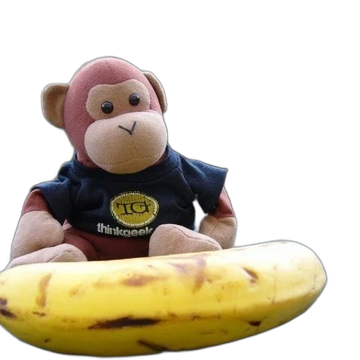 food, animal, creature, staff, 3d render, photorealistic, stuffed, monkey transparent PNG cut-out